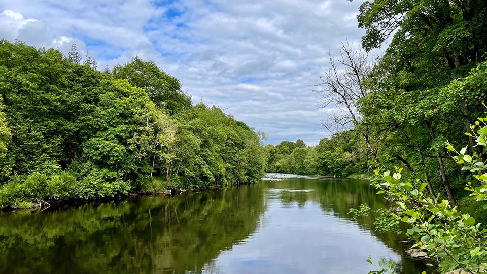 River through the trees