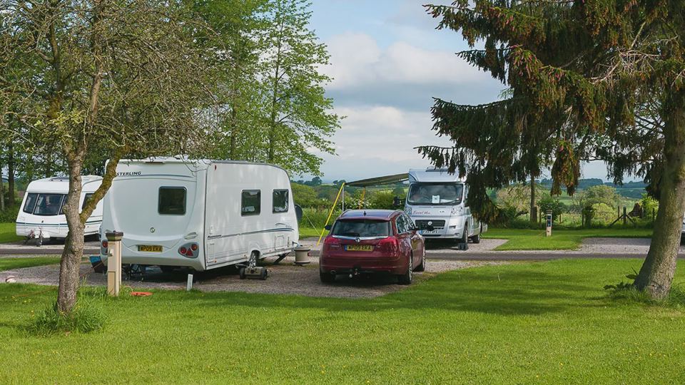 Caravans on the pitches under trees