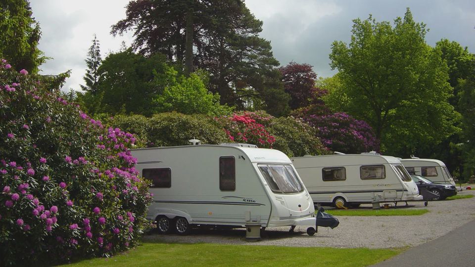 Caravans among the rhododendrons
