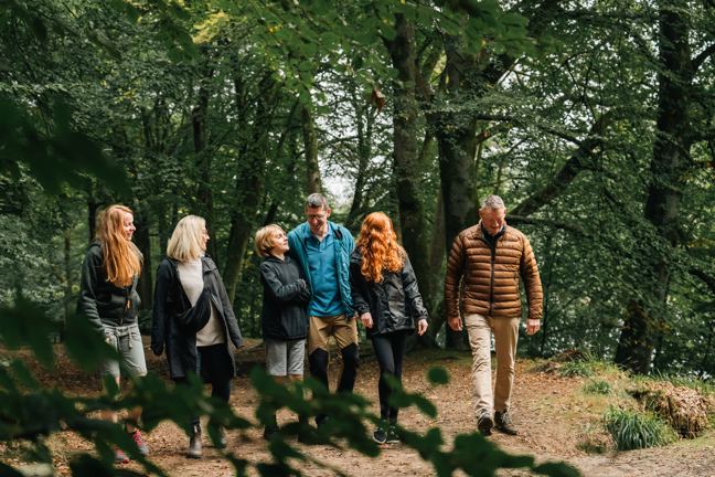 Woodland walk near the park