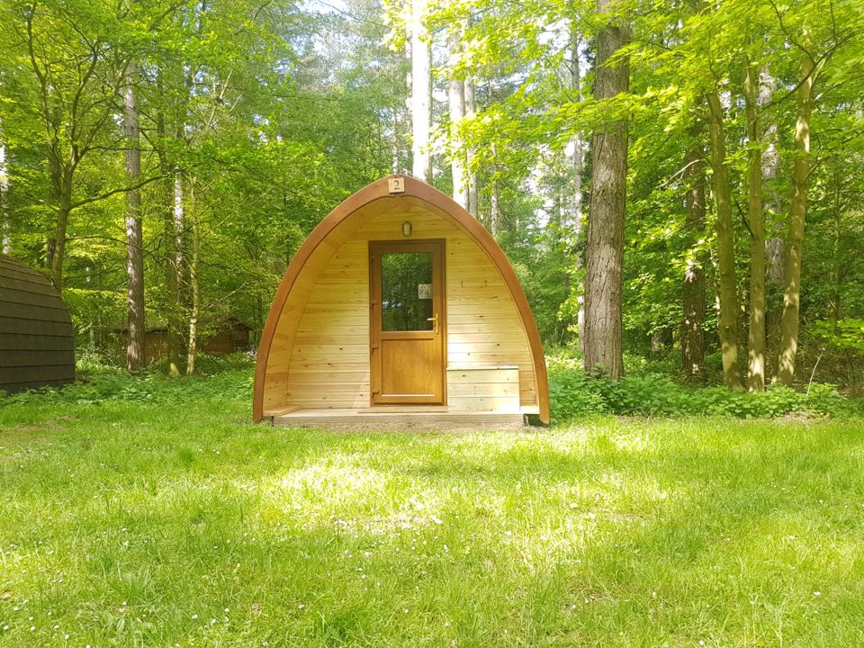 Wooden pod in the woods