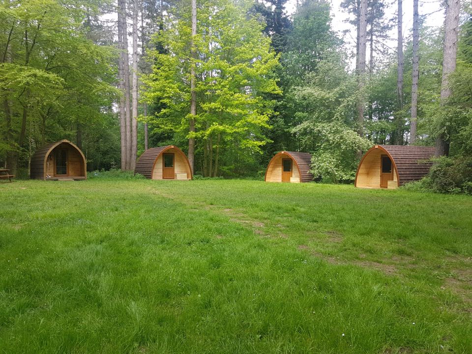 Glade with a row of pods