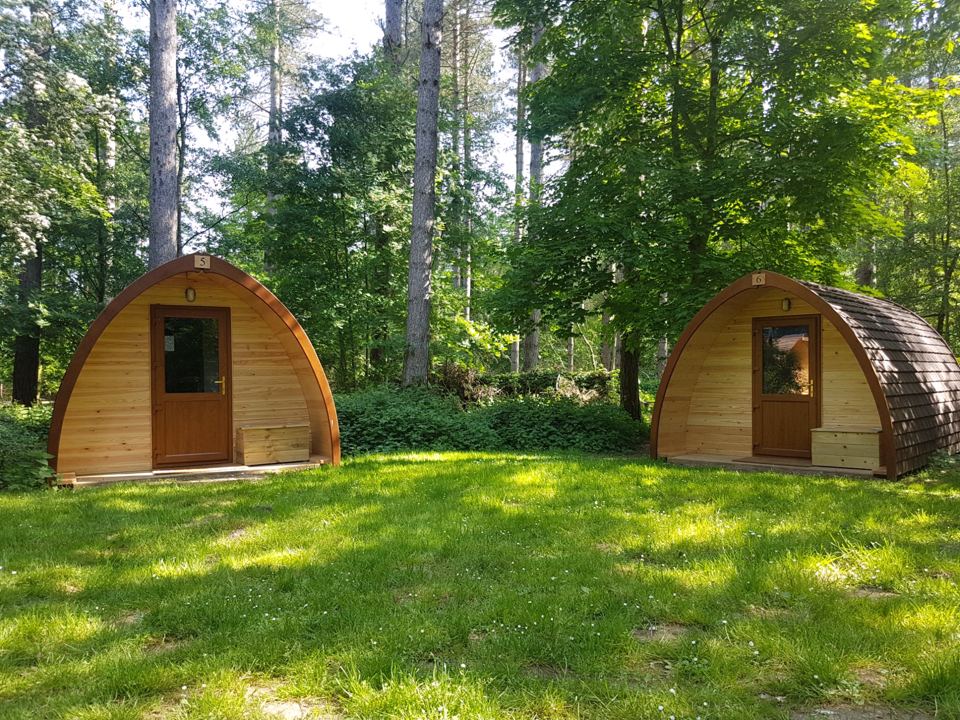 Two pods on the grass