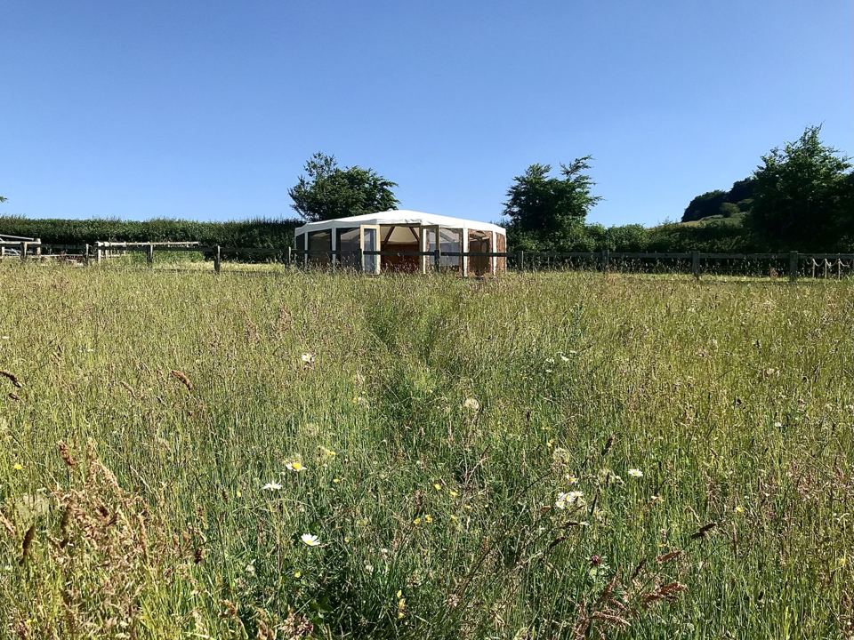 Hay meadow and roundhouse
