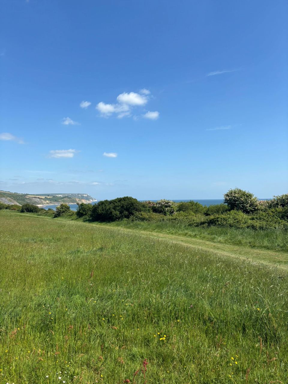 Camping field above the coast