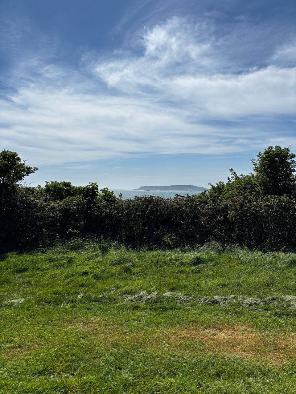 Sea view over the hedge