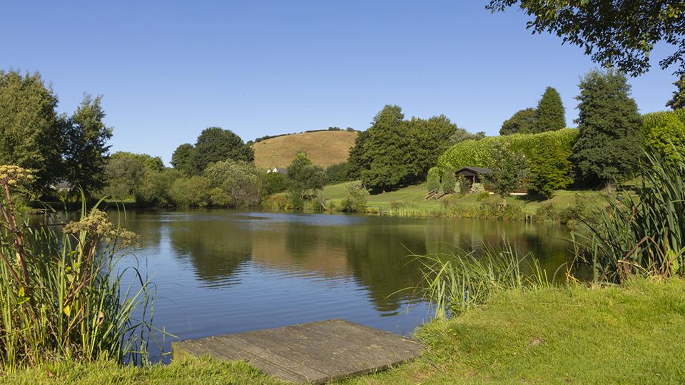 Lake edged with trees