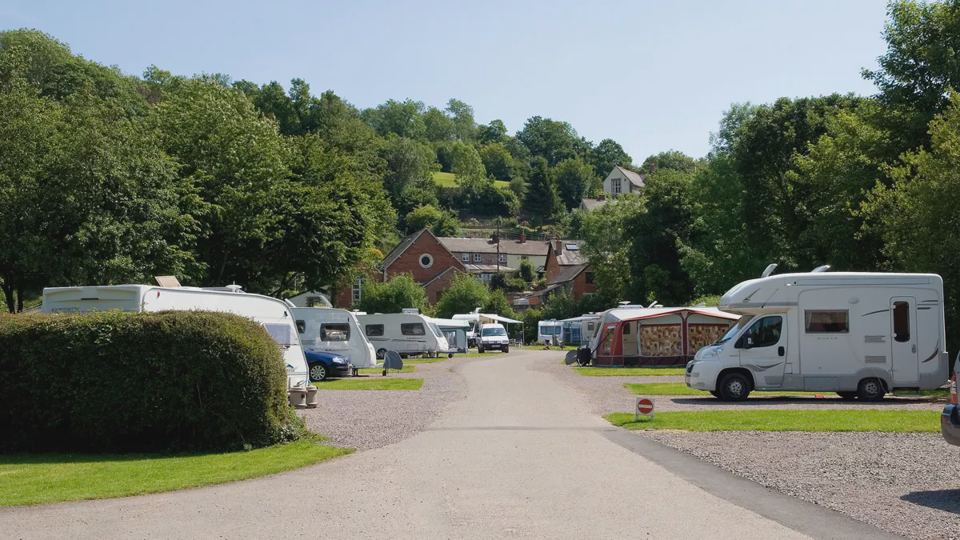 Pitches along the site road