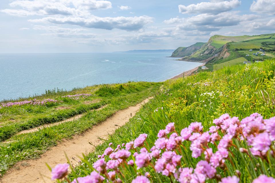 Coast path with thrift