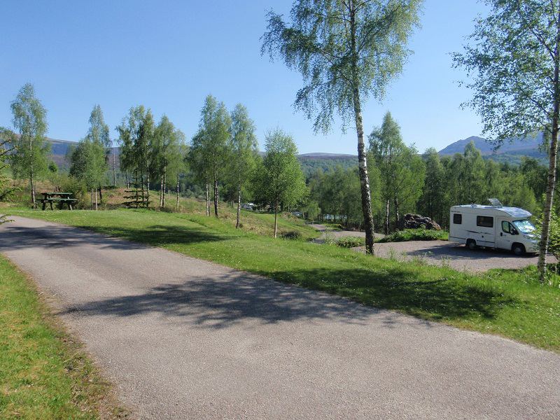 Motorhome on the tree-lined track