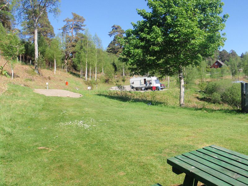 Pitches on grass under trees