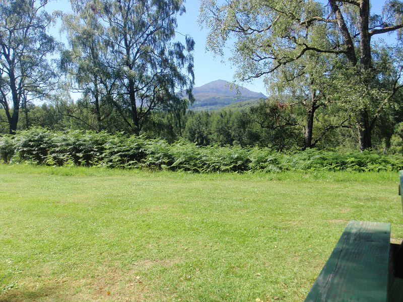 Grass pitch with mountain view