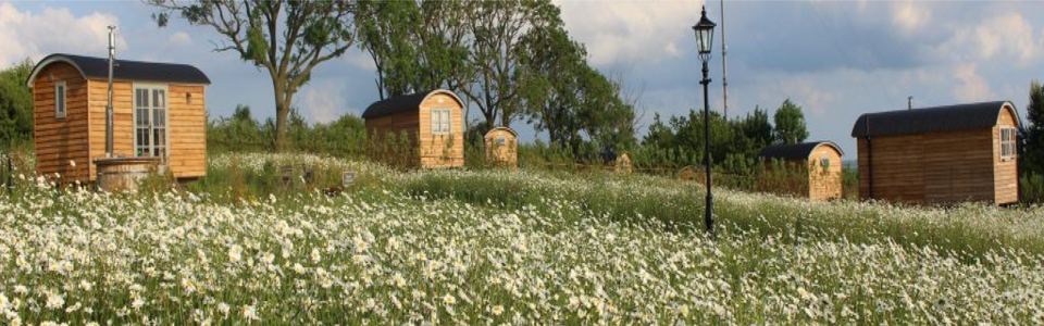 Huts in the wildflower meadow