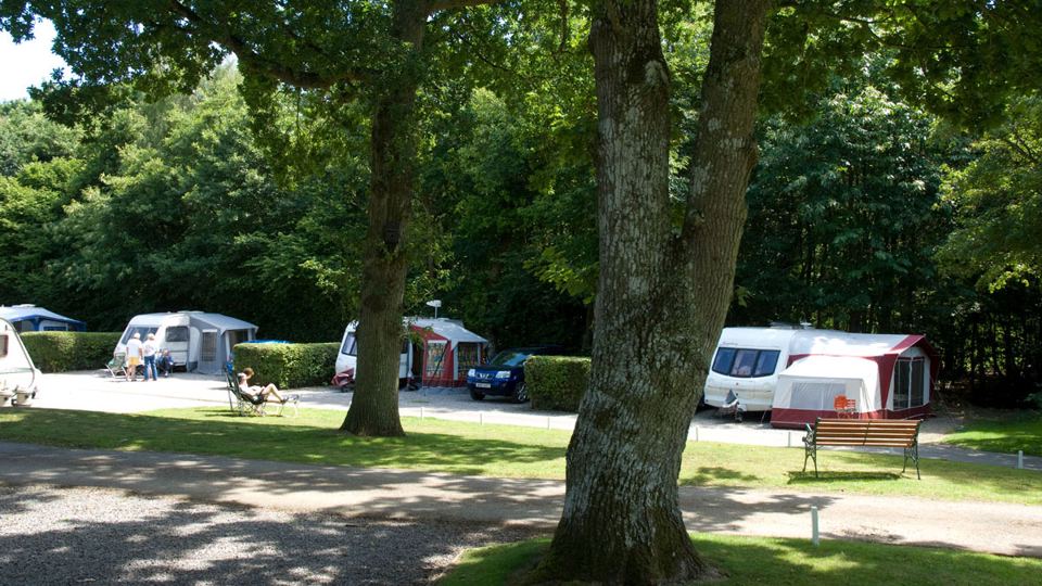 Pitches shaded by trees