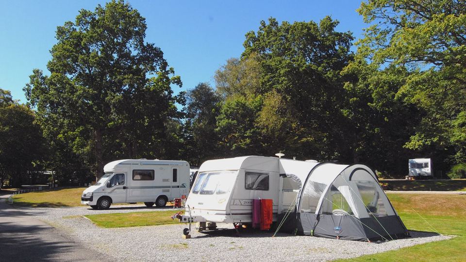 Motorhome and caravan under trees