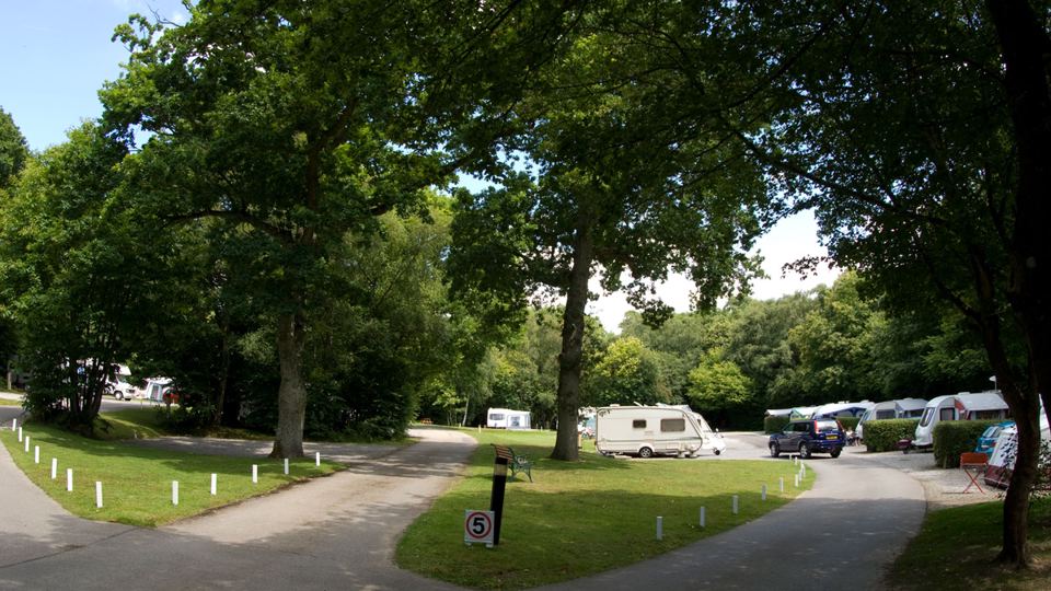 Site road through the woods