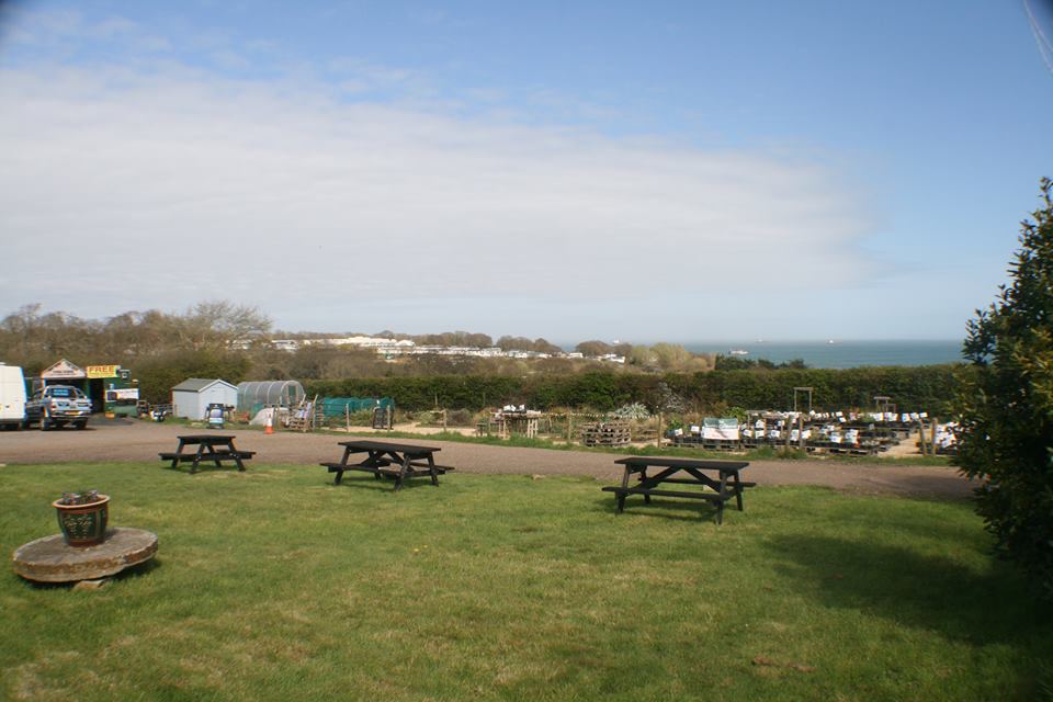 Field with picnic benches