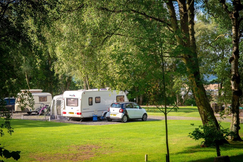 Caravans on grass between trees