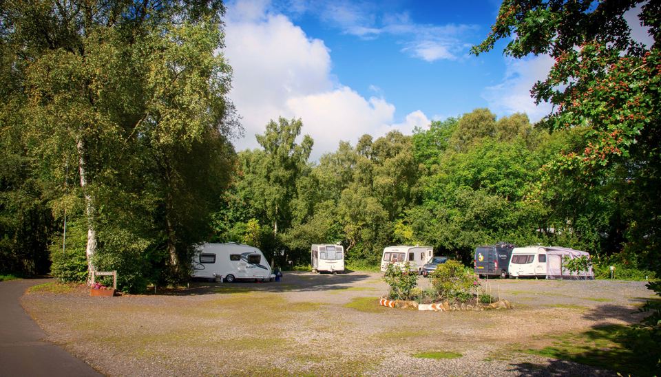 Hardstanding pitches in a clearing