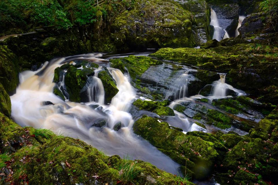 Waterfall on the trail