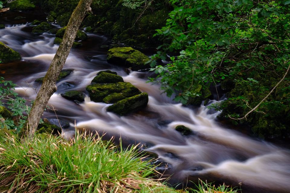 River near the park