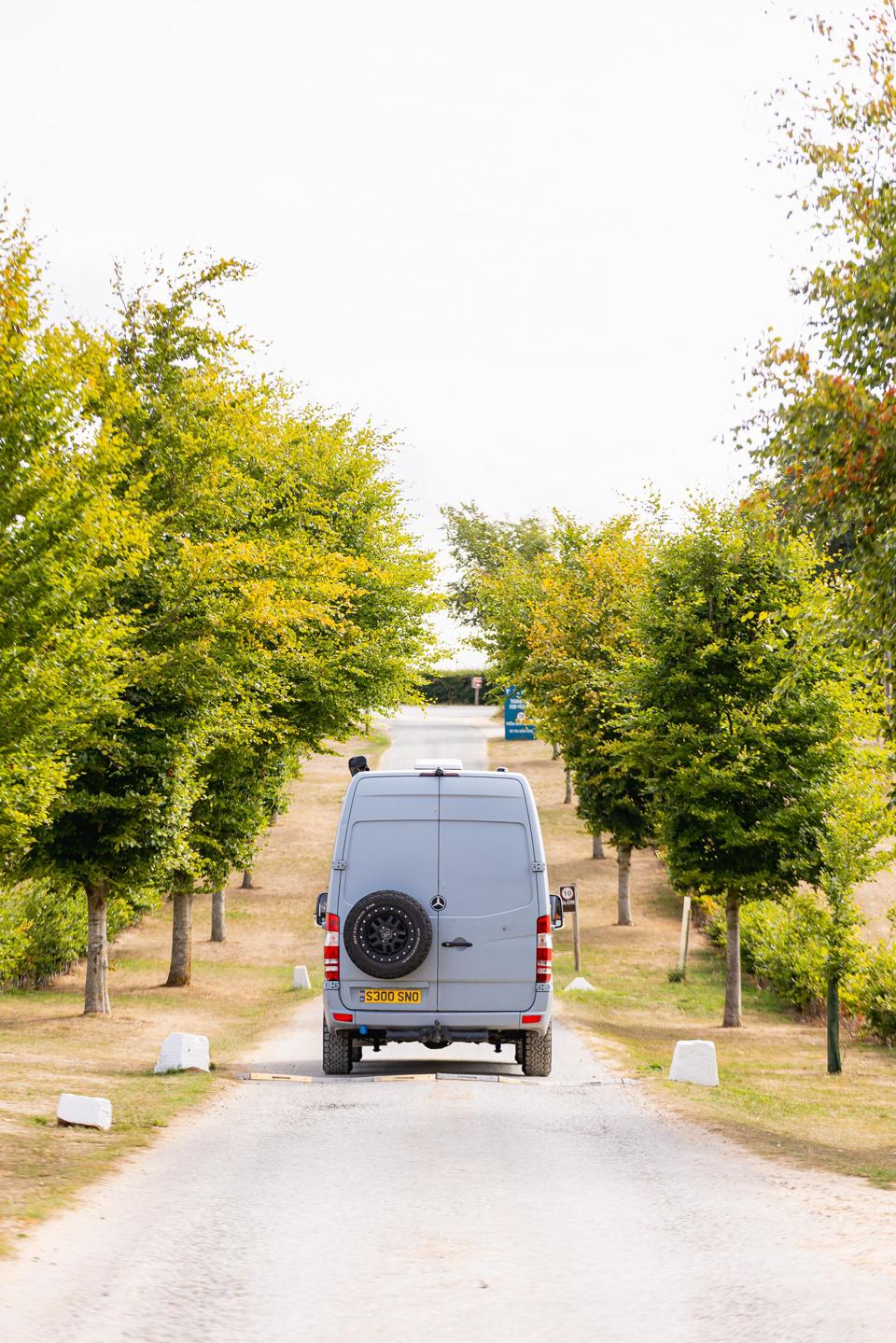 Tree-lined drive to the site