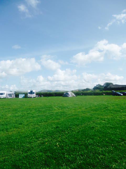 Camping field with tents and vans