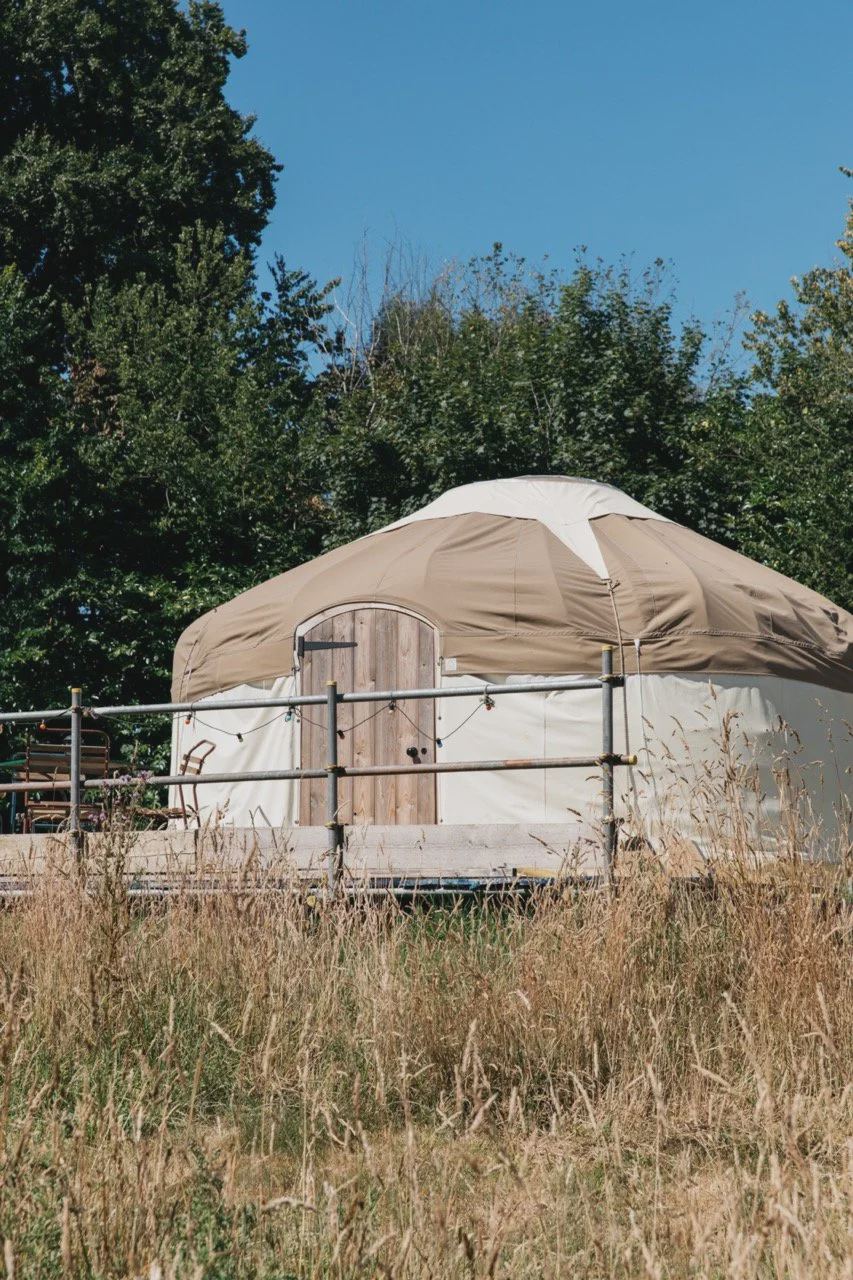 Yurt behind the hedge