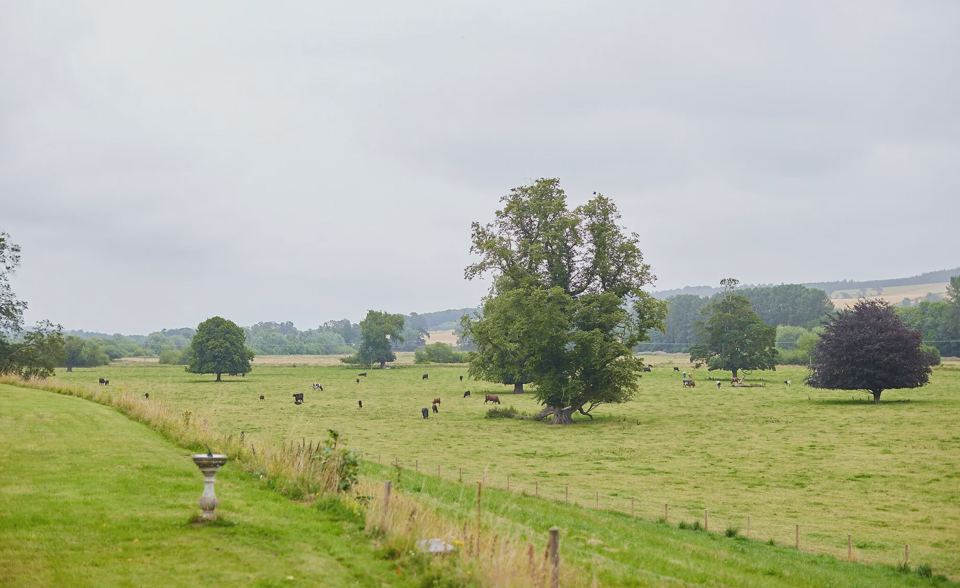 Parkland and fields