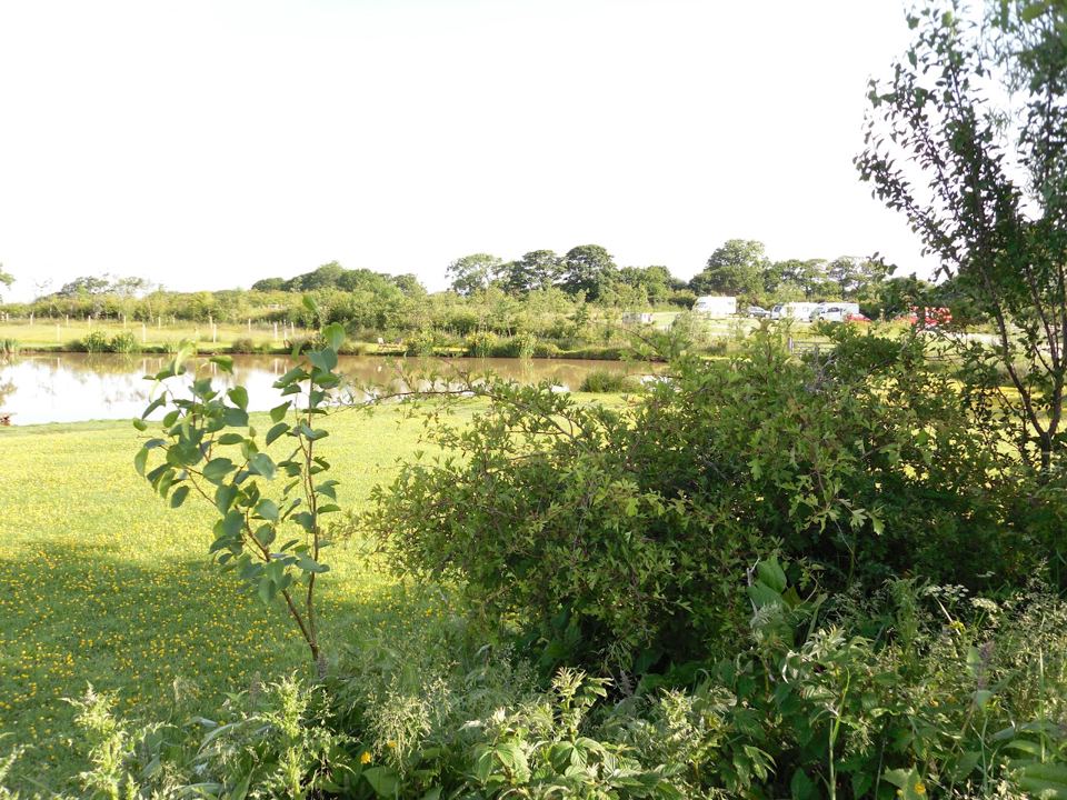 Fishing lake from the site