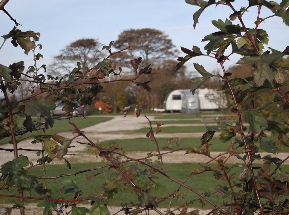 Caravans on the pitches
