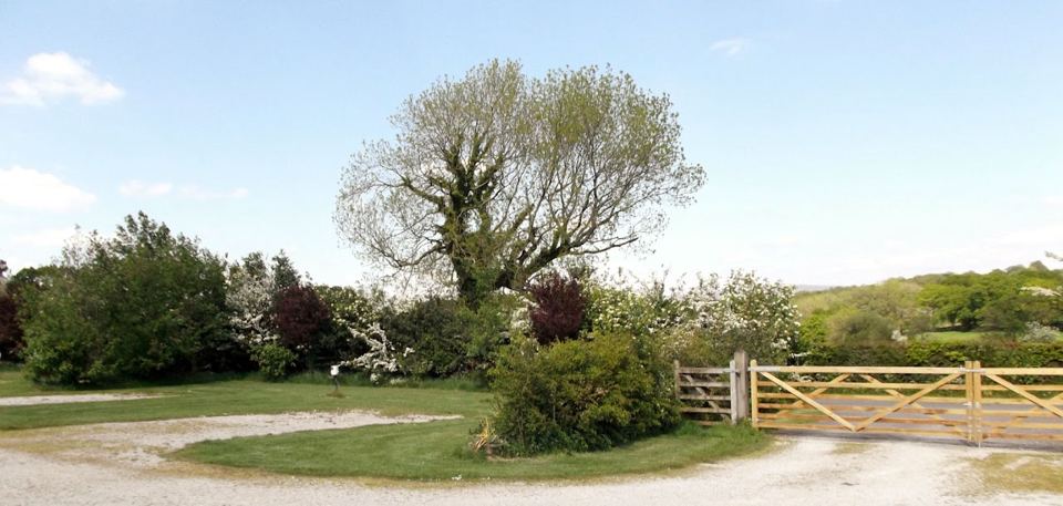 Site entrance and gravel track