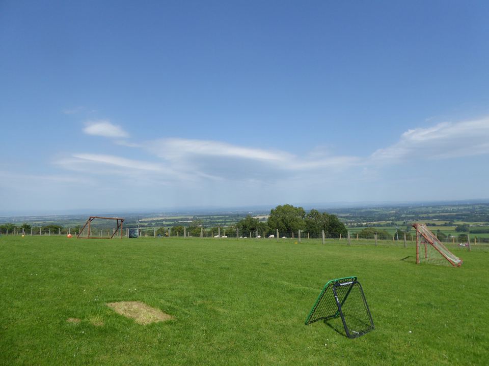 Grass play field