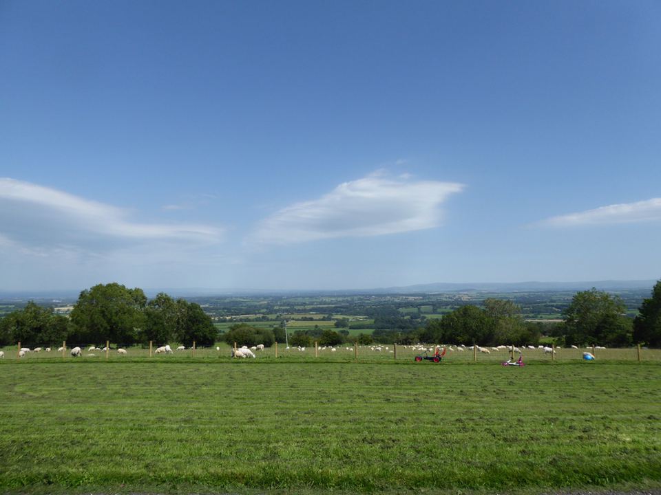 Fields and sheep below the pods