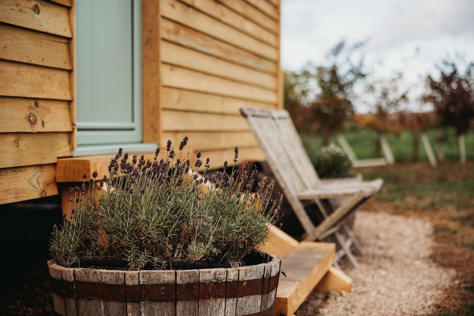 Hut steps and garden chairs