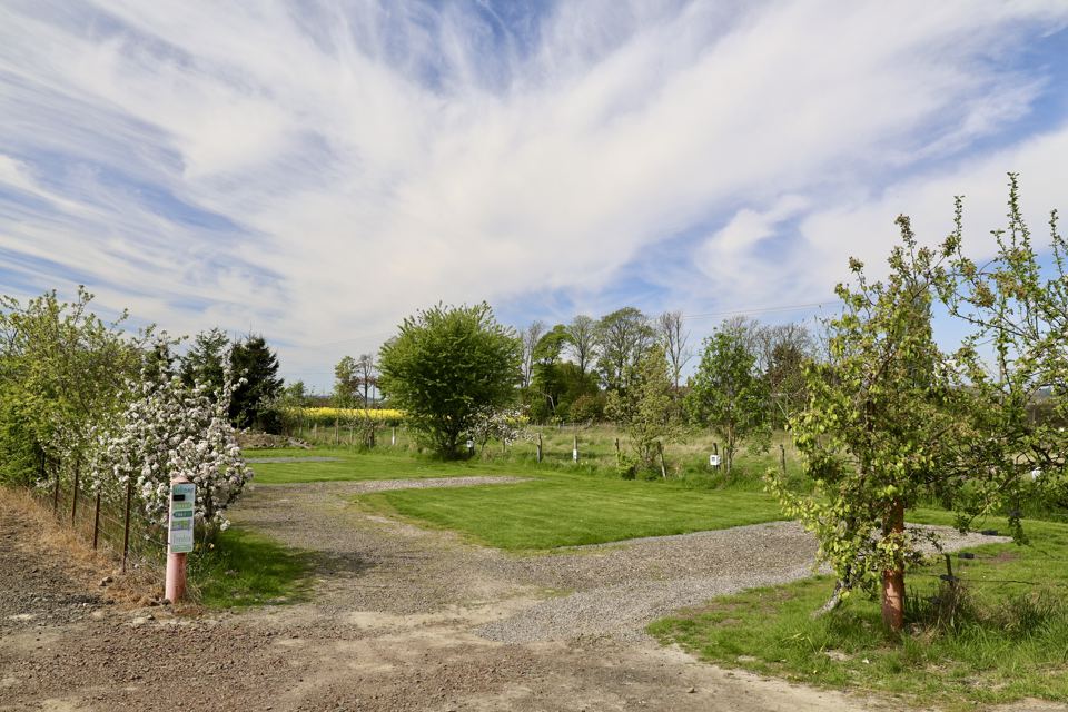 Pitches among the fruit trees