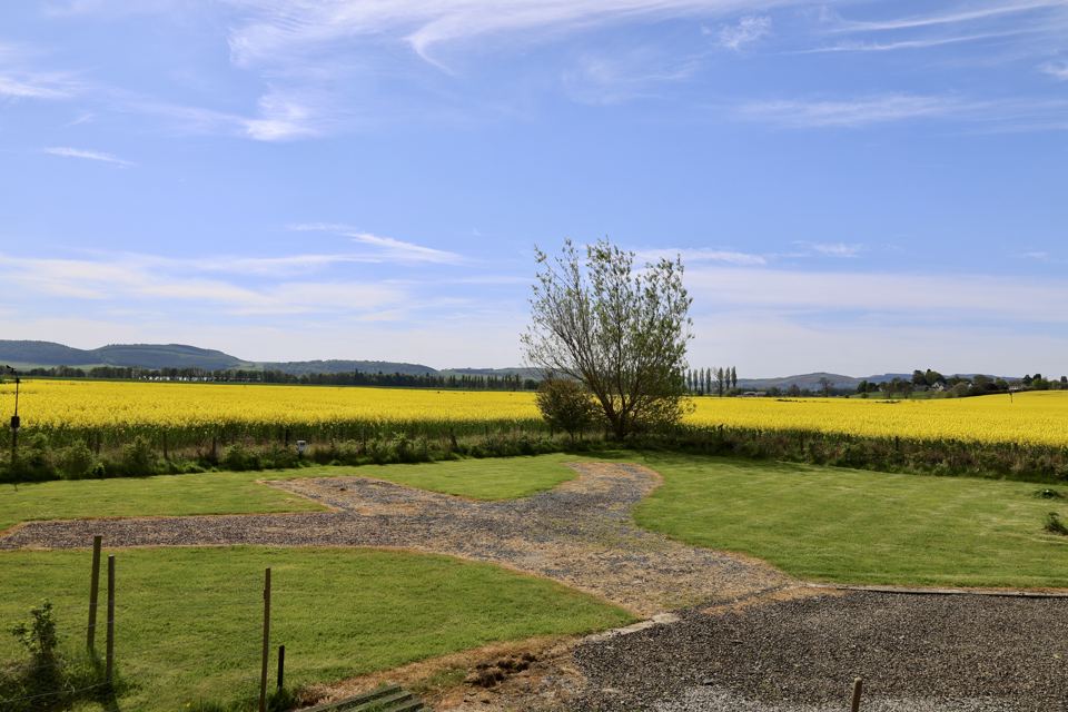 Gravel pitches on the lawn