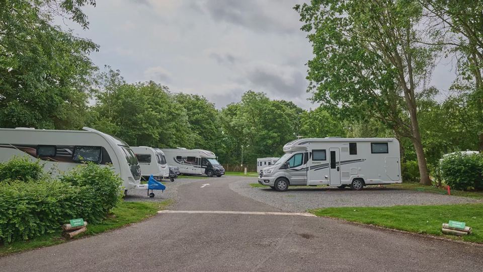 Motorhomes on a tree-lined row