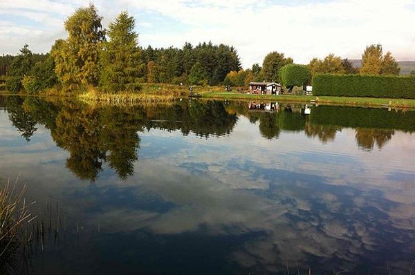 Pond beside the park