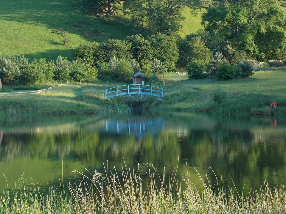 Footbridge over the lake
