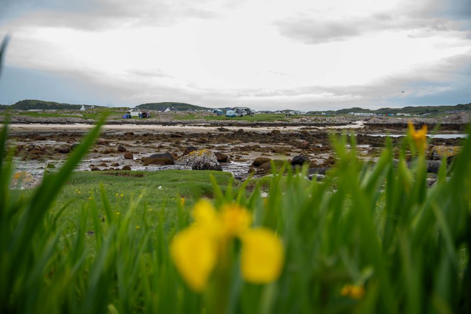 Camping field by the shore