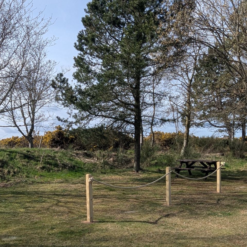 Picnic bench among trees