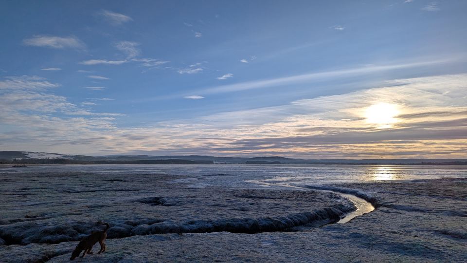 Findhorn Bay at low tide