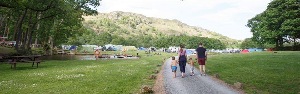 Path through the tent field
