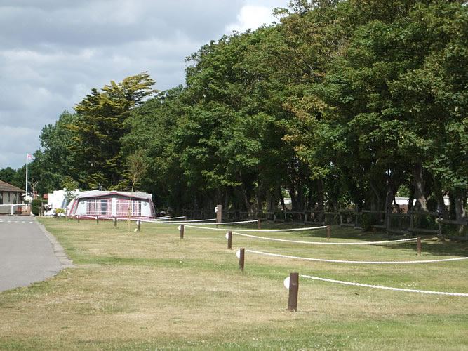 Roped grass pitches under trees