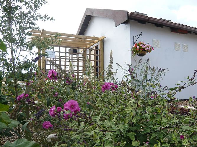 Toilet block among flowers