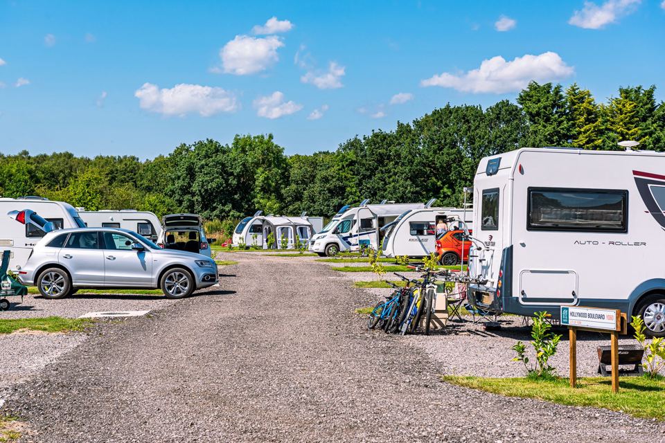 Touring pitches and trees