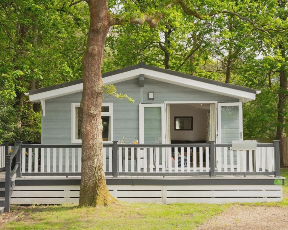 Lodge with decking in the trees