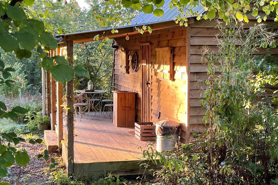 Cabin veranda in the trees
