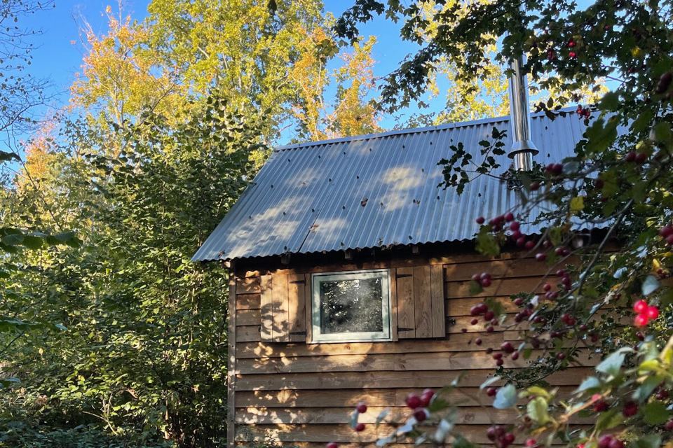 Cabin roof and woodburner flue